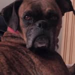 Sandy Stone - @sandystone1965 - Instagram