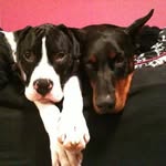 Sandy Garron Stubbs - @stubbs6334 - Instagram