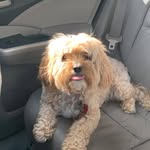 Teresa Shurtz - @sandy_ceecee_stubbs - Instagram