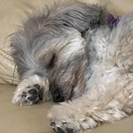 Sandy Suzuki - @lpmam24 - Instagram