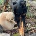 Sandy Swafford - Facebook