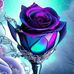 Sandy Swift - Facebook