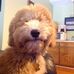 Sandy Tackett - Facebook