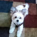 Sandy Tackett - @tackett5448 - Instagram