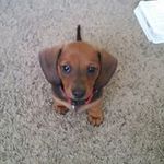 Sandy Teel - @sandyteel - Instagram