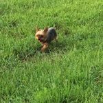 Sandy Jenkin Tharp - @tharp.sandy - Instagram
