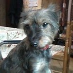 Sandy Thomas - @sandy.thomas59 - Instagram