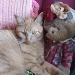 Sandy Thomas - @sandythomas5872 - Instagram