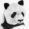 Sandy Thomas - @sandy.thomas6 - TikTok