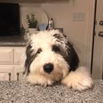 Sandy Thomas Greenwood - @sandythomasgreenwood - Instagram