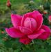 Sandy Thurman - Facebook