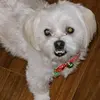 Deedee68 - @sandythurmon - TikTok