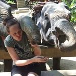 Sandra Trapp - @sandra.trapp.980 - Instagram