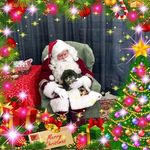Sandra Treadway - @tigsmom07 - Instagram