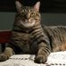 Sandy Treadway - Facebook