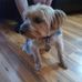 Sandy Trimble - Facebook