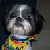 Sandy Trimm - Facebook