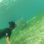 Sandy Trip - @tripsandy - Instagram