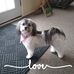 Sandy Triplett - Facebook