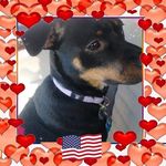 Sandy Tripp - @strippy2017 - Instagram