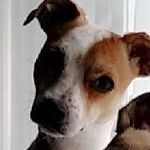 Sandy Trippi - @sandytrippi - Instagram