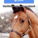 Candy Trisch - @sandy.trisch.9 - Instagram