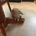 Sandra M. Trout - Facebook