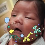 Sandra Trout - @sandratrout - Instagram