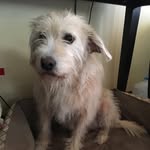 Sandy Trout - @sandy_girl101 - Instagram