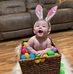 Sandy Trout - Facebook