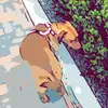 thesandytrout - @thesandytrout - TikTok