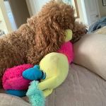 Sandy Troutman - @sandy_troutman_ - Instagram