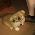 Sandy Troutman - Facebook