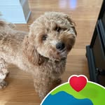 Sandy Troutman - @troutman_sandy - Instagram