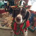 Sandy Troyer - @troyersandy - Instagram