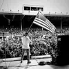 Troy Sandy - @troy.sandy4 - TikTok