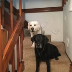 Troy Sandy Gadker - @troysandygadker - Instagram