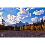 Sandy Truitt LaCour - @sandylacour2016 - Instagram