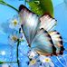 Sandy Truman - Facebook