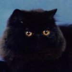 Sandy Tucker - @sandyfortmyers - Instagram