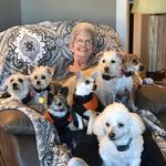 Sandy Tucker - @sandy_tucker - Instagram