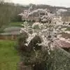 Sandy Tucker - @sandy.tucker7 - TikTok