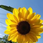 Sandy Tiul - Facebook