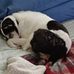 Sandy Twitchell - Facebook