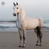 tynan_sandy_lane - @tynan_sandy_lane - TikTok