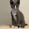 Sandy Ulmer Fields - @sandy.ulmer.field - TikTok