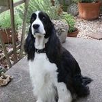 Sandy Ulrich McCormack - @sandyulrichmccormack - Instagram