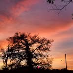 Sandy Underwood - Facebook