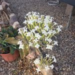 Sandy Underwood - @grannygo - Instagram
