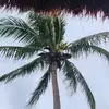 sandy underwood - @sandy.underwood8 - TikTok